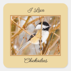 Svart-klädd chickadee - originalfoto fyrkantigt klistermärke