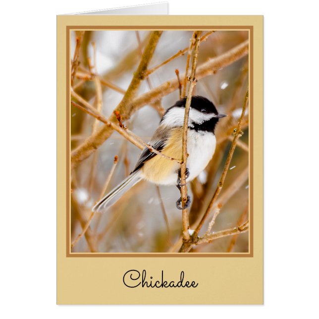 Svart-klädd chickadee - originalfoto hälsningskort (Framsidan)