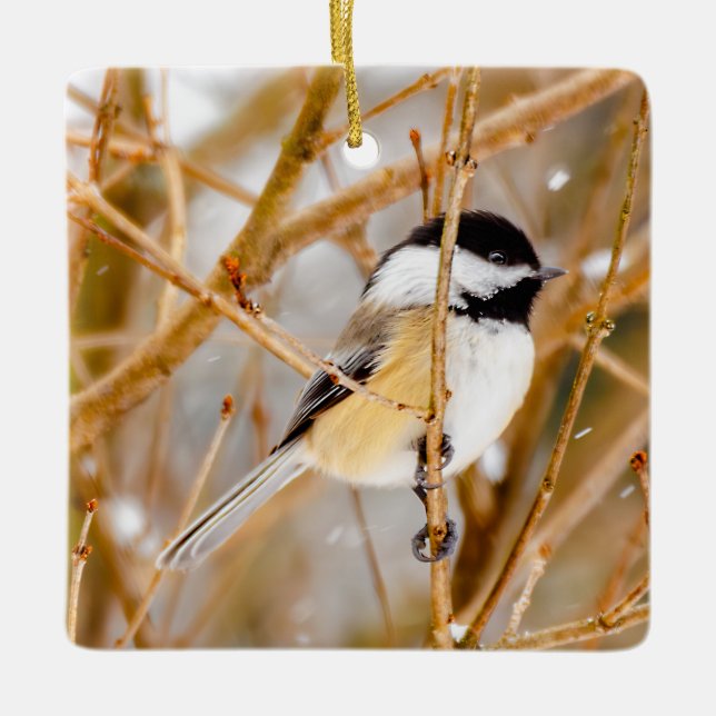 Svart-klädd chickadee - originalfoto julgransprydnad keramik (Framsida)