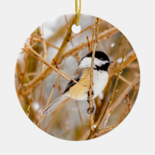 Svart-klädd chickadee - originalfoto julgransprydnad keramik