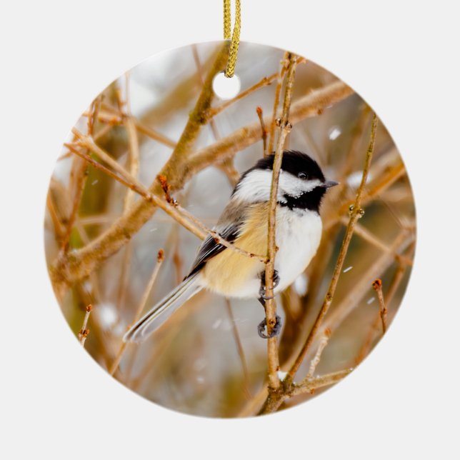Svart-klädd chickadee - originalfoto julgransprydnad keramik (Framsidan)