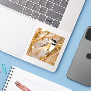 Svart-klädd chickadee - originalfoto klistermärken
