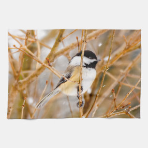 Svart-klädd chickadee - originalfoto kökshandduk