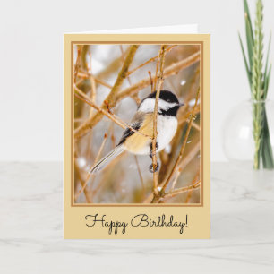 Svart-klädd chickadee - originalfoto kort