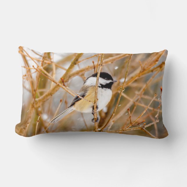 Svart-klädd chickadee - originalfoto lumbarkudde (Framsida)