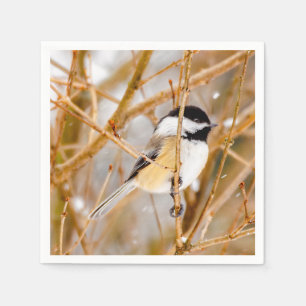 Svart-klädd chickadee - originalfoto pappersservett