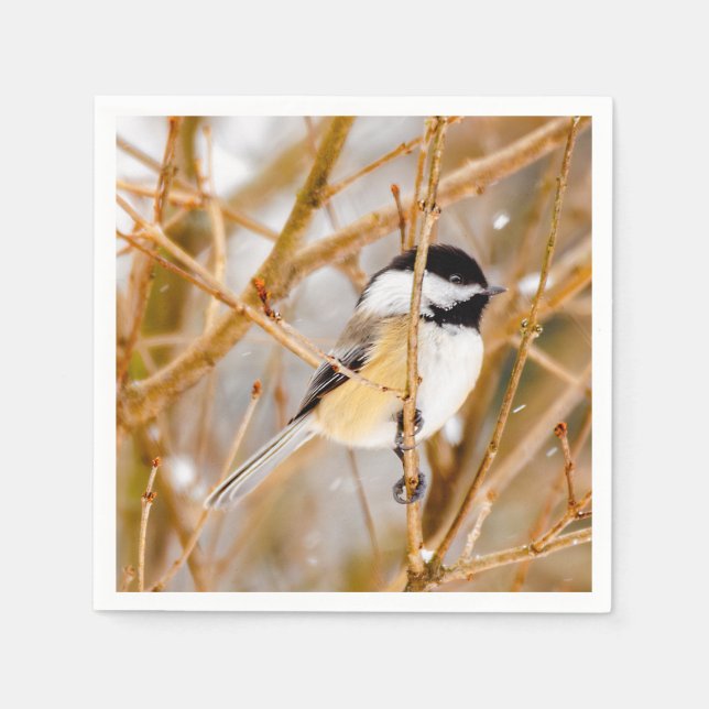 Svart-klädd chickadee - originalfoto pappersservett (Framsidan)