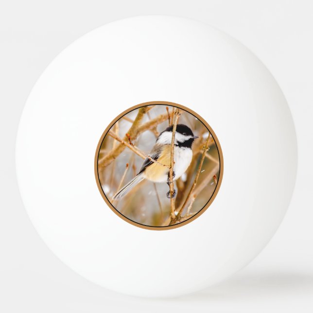 Svart-klädd chickadee - originalfoto pingisboll (Framsidan)