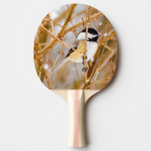 Svart-klädd chickadee - originalfoto pingisracket