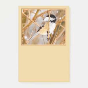 Svart-klädd chickadee - originalfoto post-it block