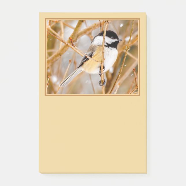Svart-klädd chickadee - originalfoto post-it block (Framsida)