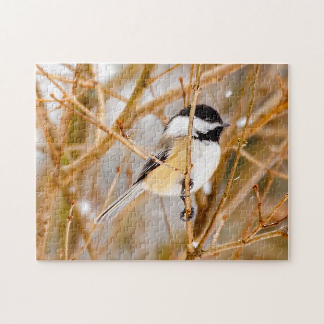 Svart-klädd chickadee - originalfoto pussel (Horisontell)