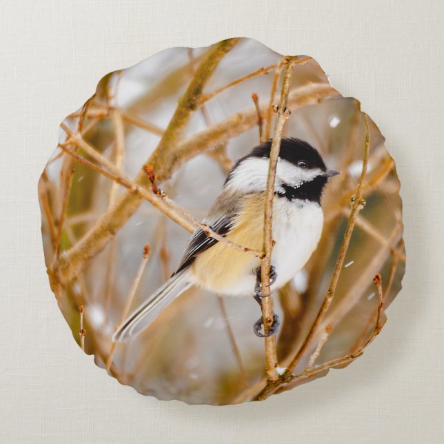 Svart-klädd chickadee - originalfoto rund kudde (Baksidan)