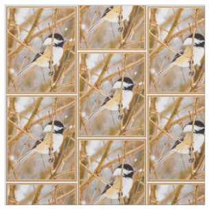 Svart-klädd chickadee - originalfoto tyg