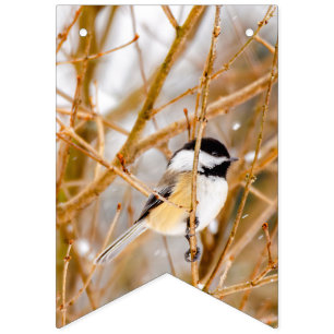 Svart-klädd chickadee - originalfoto vimplar