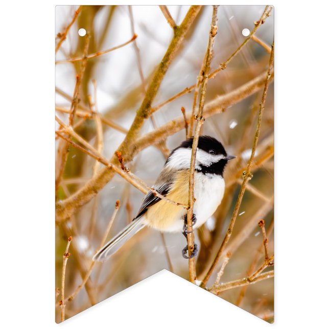 Svart-klädd chickadee - originalfoto vimplar (Första flaggan)