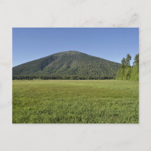 Svart knapp vykort