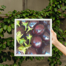 Svart konturkontur för konstnärliga auberginer