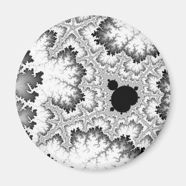Svart korallmagnet magnet (Framsidan)