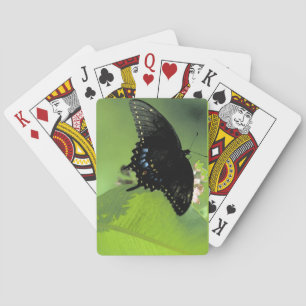 Svart kort för Swallowtail jumboindex Kortlek