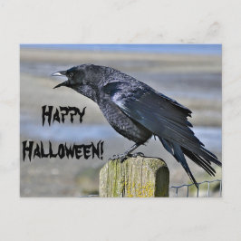 Svart kråka halloween-vykort vykort