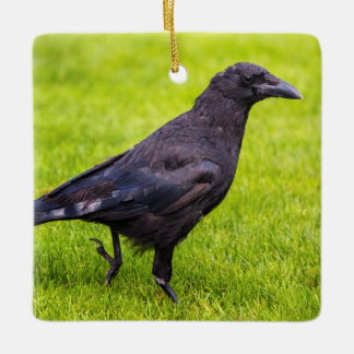 Svart kråka julgransprydnad keramik