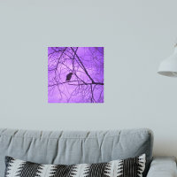 Svart kråka lila himmel träd fotografi