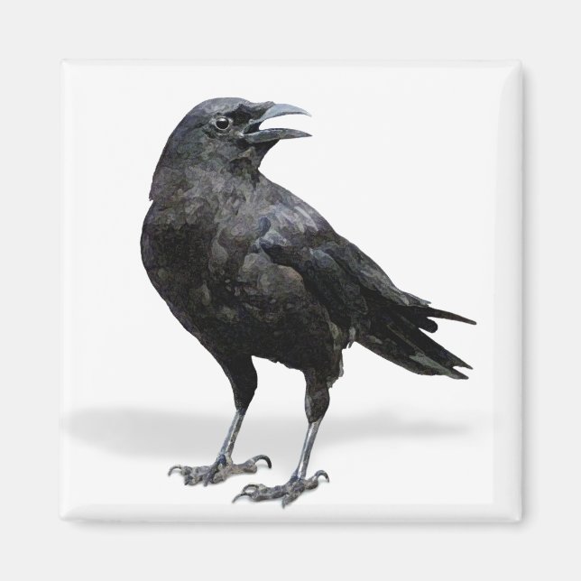 Svart Kråka - utfyllnad eller Office Magnet (Framsidan)