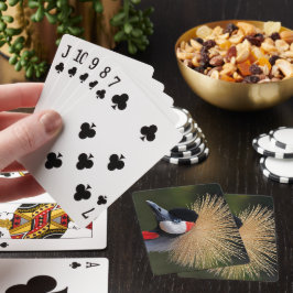 Svart kran casinokort