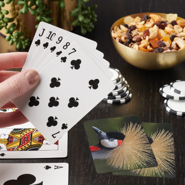 Svart kran casinokort (På plats)