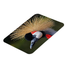 Svart kran magnet