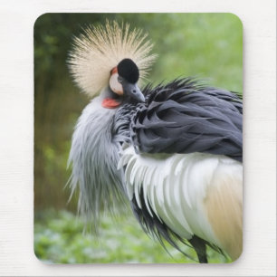 Svart krönad kran Mousepad Musmatta
