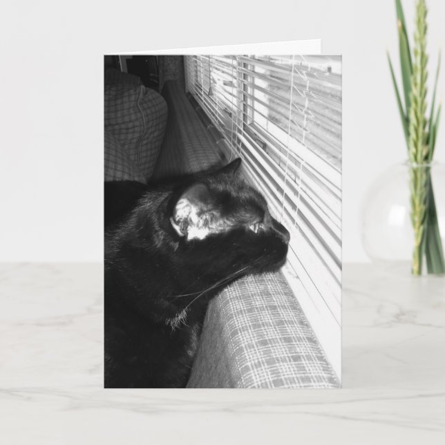 Svart kundkort saknas kort (Framsida)