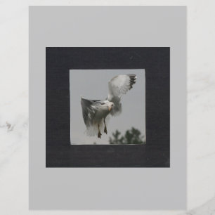 Svart kvadrat på Grått Photo Ram