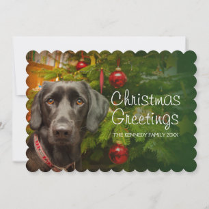 Svart kvinnlig Labrador Retriever Julkort
