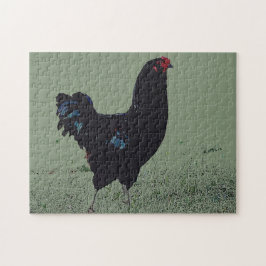 Svart kyckling i Grass Art Puzzle Pussel