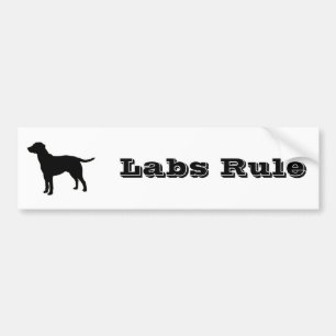 Svart lab bildekal 1