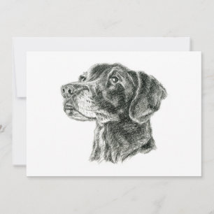 Svart Lab Flat Kort