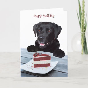 Svart lab födelsedagskort - Hund födelsedagskort Kort