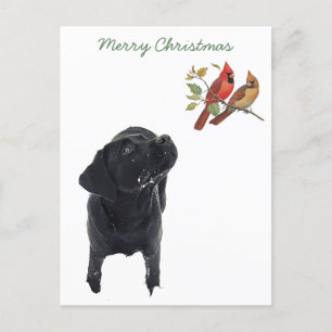 Svart lab God jul Cute Hund Birrador Helg Vykort