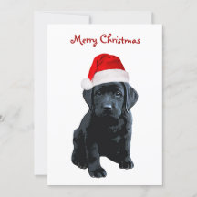 Svart lab God jul Labrador Puppy Santa Hund