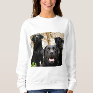 svart lab grupp t shirt