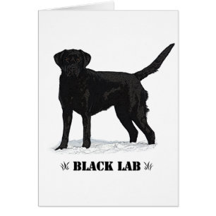Svart lab hälsningskort