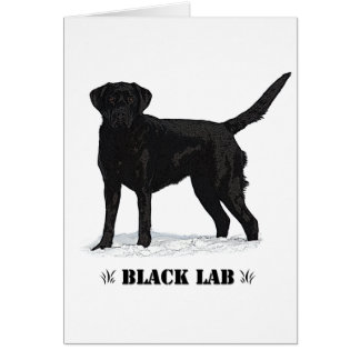 Svart lab hälsningskort