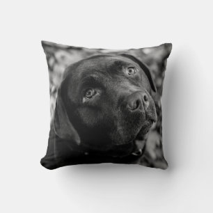 Svart lab - hjärtat i en Hund Kudde