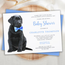 Svart lab Hund Blue Boy Baby Shower