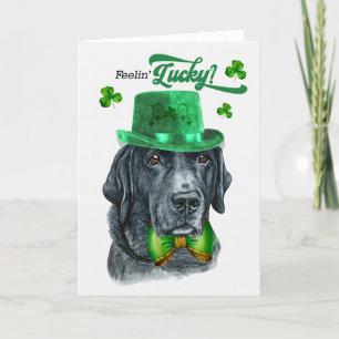 Svart lab Hund Feelin' Lucky St patrick's day Helgkort