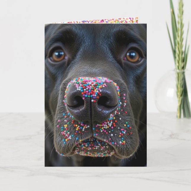 Svart lab Hund med Sprinkles vid Roligten Kort (Framsida)