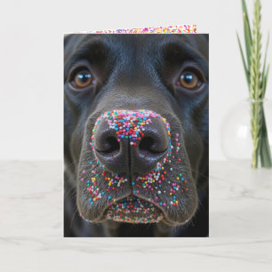 Svart lab Hund med Sprinkles vid Roligten Kort