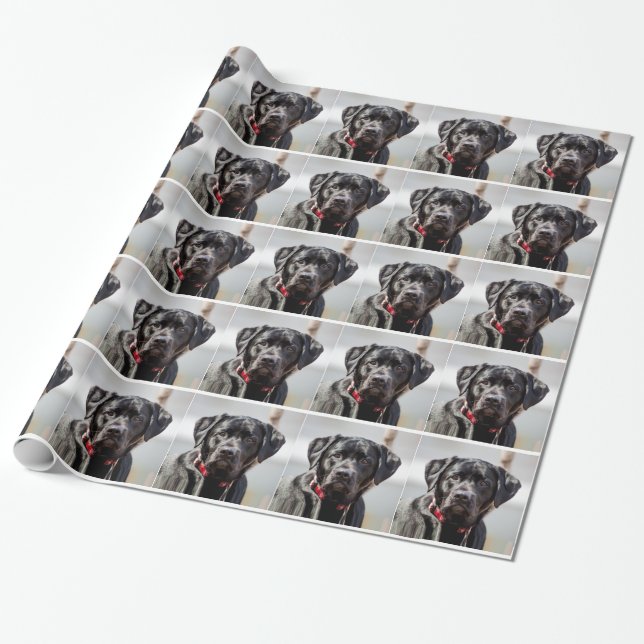 svart lab Hund Pet Black Labrador Retriever Presentpapper (Utrullad)